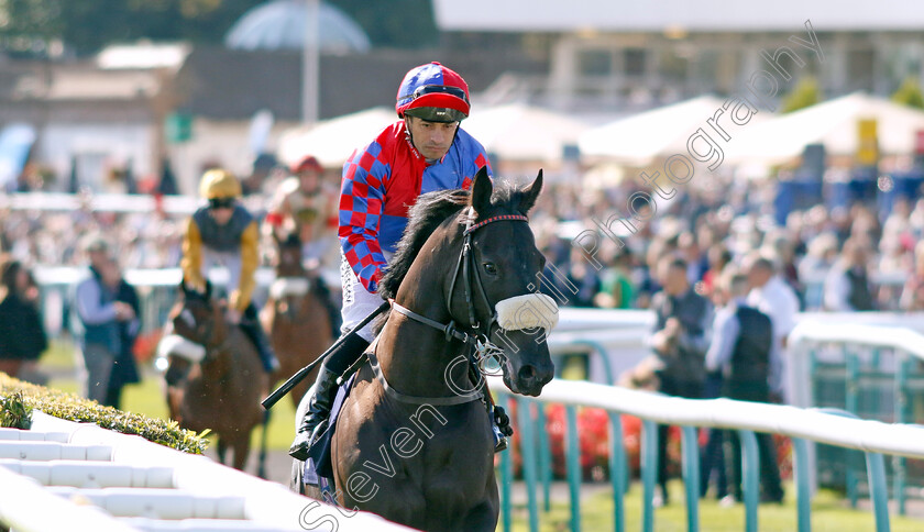 Big-Mojo-0001 
 BIG MOJO (Silvestre de Sousa)
Doncaster 13 Sep 2024 - Pic Steven Cargill / Racingfotos.com