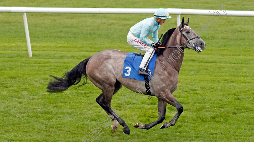 Binhareer-0001 
 BINHAREER (Tom Marquand)
Leicester 10 Sep 2024 - Pic Steven Cargill / Racingfotos.com