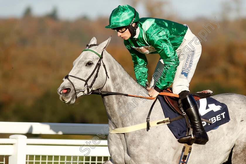 Bad-0001 
 BAD (Ben Jones) 
Ascot 22 Nov 2024 - Pic Steven Cargill / Racingfotos.com