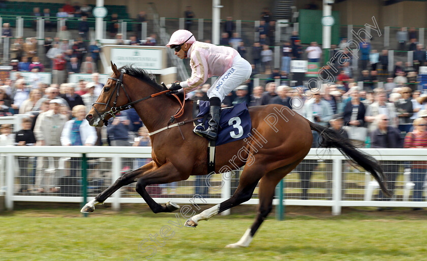 Take-It-Down-Under-0006 
 TAKE IT DOWN UNDER (Silvestre De Sousa) wins The Haven Seashore Holiday Handicap
Yarmouth 23 Apr 2019 - Pic Steven Cargill / Racingfotos.com