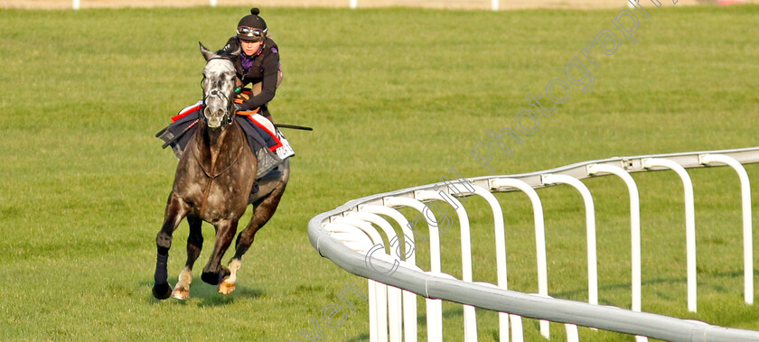 Spirit-Of-Light-0001 
 SPIRIT OF LIGHT training at Meydan, Dubai
2 Feb 2023 - Pic Steven Cargill / Racingfotos.com