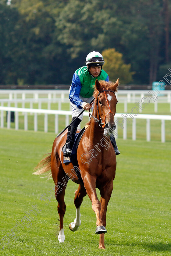 Monkey-Island-0001 
 MONKEY ISLAND (Pat Dobbs)
Ascot 8 Sep 2023 - Pic Steven Cargill / Racingfotos.com