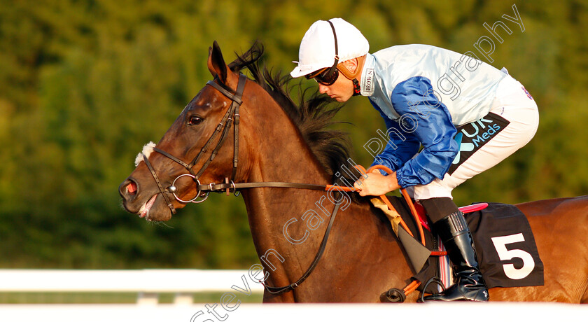 Rudy-Lewis-0001 
 RUDY LEWIS (Stevie Donohoe)
Chelmsford 23 Jul 2019 - Pic Steven Cargill / Racingfotos.com