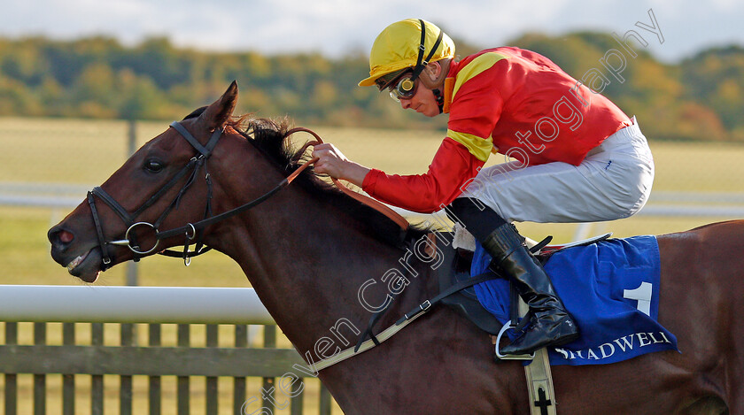 Data-Protection-0001 
 DATA PROTECTION (James Doyle) wins The Shadwell Farm Handicap
Newmarket 27 Sep 2019 - Pic Steven Cargill / Racingfotos.com