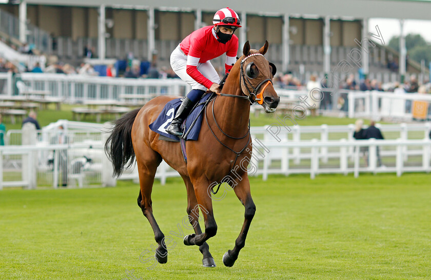 Jebel-Dukhan-0002 
 JEBEL DUKHAN (Ryan Tate)
Yarmouth 14 Jul 2021 - Pic Steven Cargill / Racingfotos.com