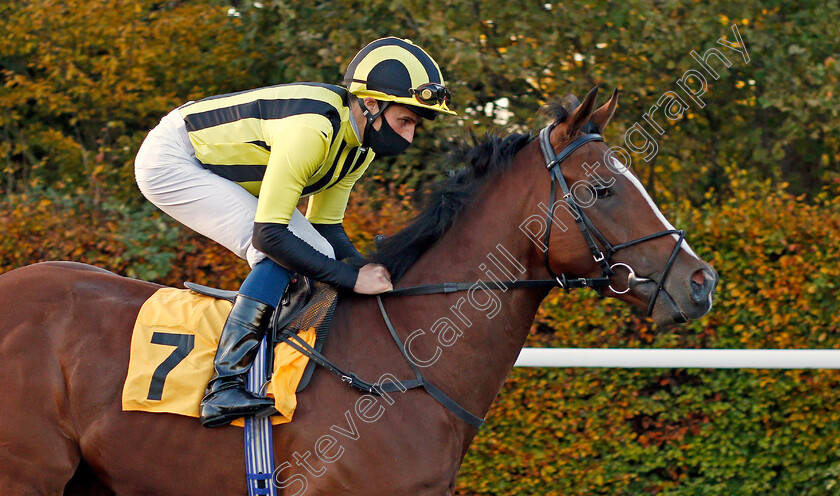 Ilza eem-0001 
 ILZA'EEM (William Buick)
Kempton 2 Nov 2020 - Pic Steven Cargill / Racingfotos.com