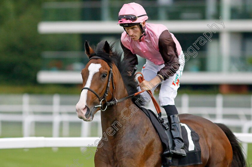 Cinnodin-0007 
 CINNODIN (Finley Marsh) winner of The Bob Barker Memorial Handicap
Newbury 27 Jul 2023 - Pic Steven Cargill / Racingfotos.com