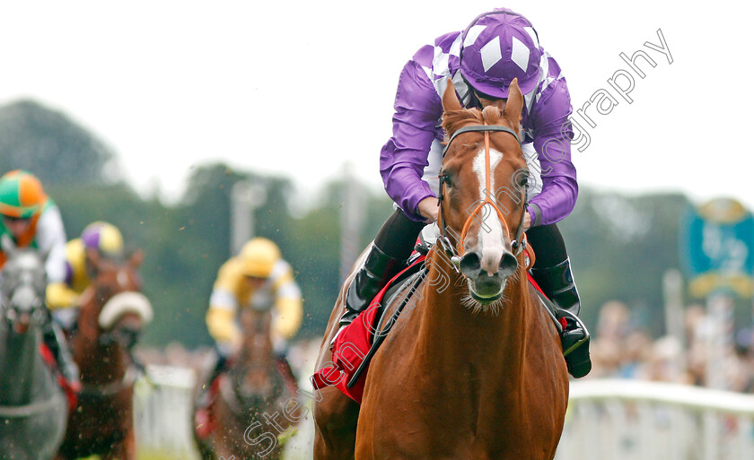 Mums-Tipple-0007 
 MUMS TIPPLE (Ryan Moore) wins The Goffs Uk Premier Yearling Stakes
York 22 Aug 2019 - Pic Steven Cargill / Racingfotos.com