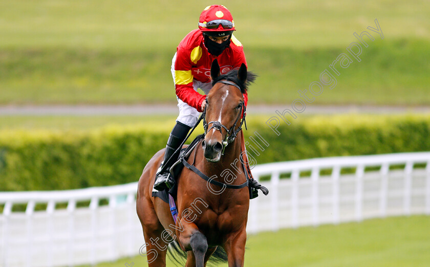 Goldenhurst-0001 
 GOLDENHURST (Sean Levey)
Goodwood 21 May 2021 - Pic Steven Cargill / Racingfotos.com