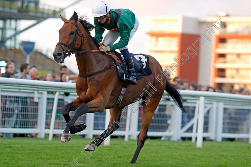 Stonking-0002 
 STONKING (Hector Crouch) wins The Rayner Bosch Car Service Handicap
Newbury 27 Jul 2023 - Pic Steven Cargill / Racingfotos.com