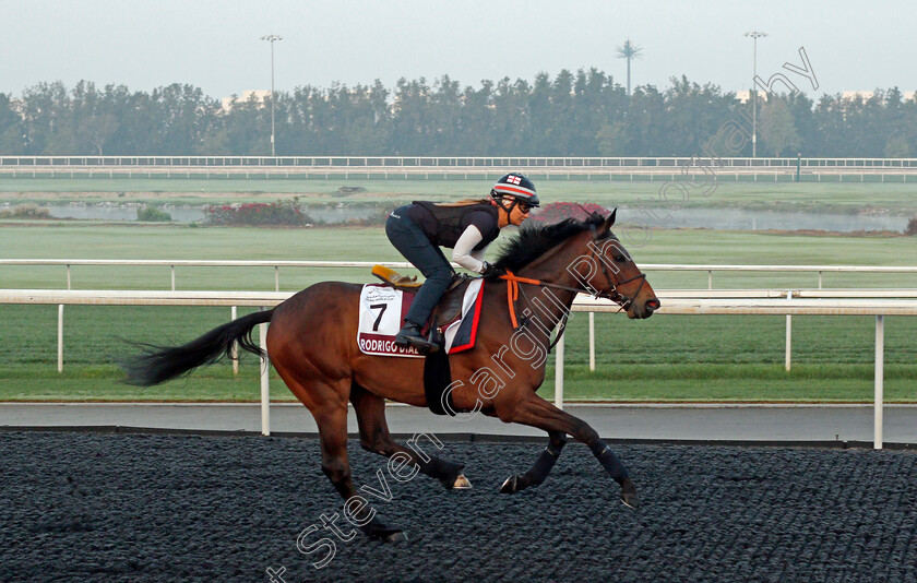 Rodrigo-Diaz-0001 
 RODRIGO DIAZ training for the Dubai Gold Cup
Meydan, Dubai, 22 Mar 2022 - Pic Steven Cargill / Racingfotos.com