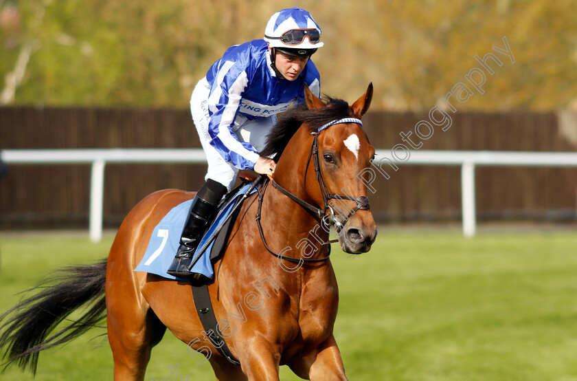 Kitsune-Power-0001 
 KITSUNE POWER (Ray Dawson) winner of The Caffrey's Irish Ale Handicap
Leicester 23 Apr 2022 - Pic Steven Cargill / Racingfotos.com