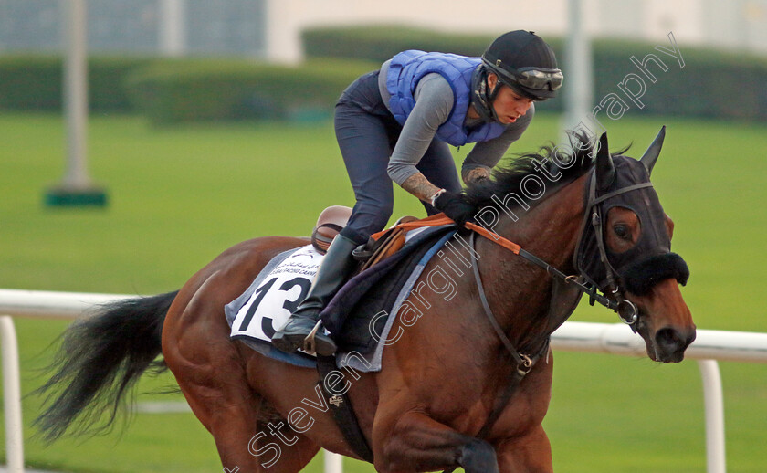 Hala-Abrar-0003 
 HALA ABRAR training at the Dubai Racing Carnival 
Meydan 4 Jan 2024 - Pic Steven Cargill / Racingfotos.com