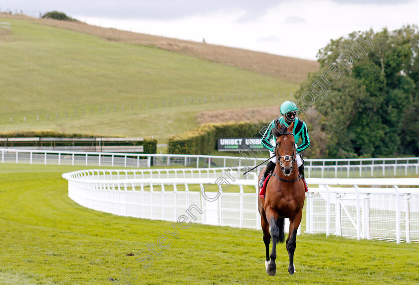 Century-Dream-0001 
 CENTURY DREAM (James Doyle) before The Ladbrokes Celebration Mile
Goodwood 29 Aug 2020 - Pic Steven Cargill / Racingfotos.com