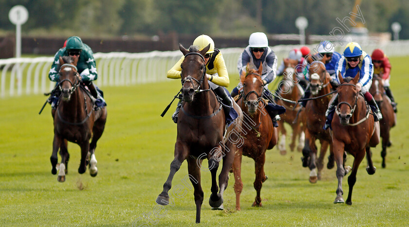 Myseven-0003 
 MYSEVEN (Pat Cosgrave) wins The Betway Novice Stakes
Lingfield 2 Sep 2020 - Pic Steven Cargill / Racingfotos.com