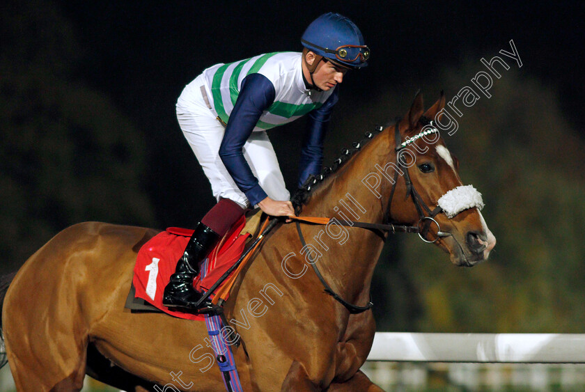 Coltrane-0002 
 COLTRANE (Rob Hornby)
Kempton 10 Nov 2021 - Pic Steven Cargill / Racingfotos.com