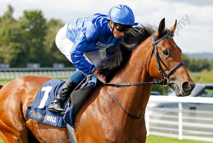 Falling-Shadow-0001 
 FALLING SHADOW (William Buick)
Goodwood 27 Aug 2022 - Pic Steven Cargill / Racingfotos.com