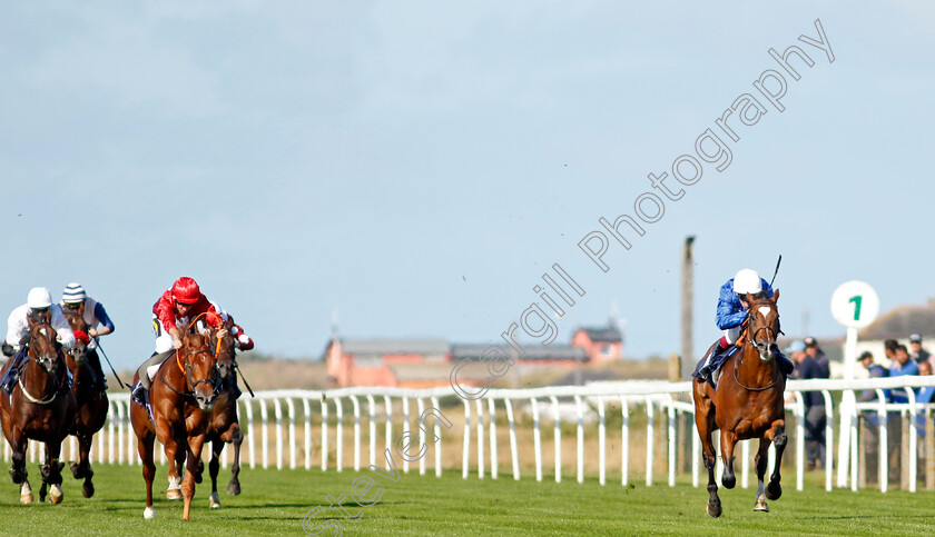 Midnight-Thunder-0006 
 MIDNIGHT THUNDER (Oisin Murphy) wins The British Stallion Studs EBF Novice Stakes
Yarmouth 17 Sep 2024 - Pic Steven Cargill / Racingfotos.com