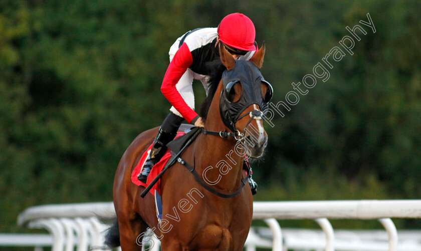 Liseo-0002 
 LISEO (Harry Davies)
Kempton 2 Oct 2024 - pic Steven Cargill / Racingfotos.com