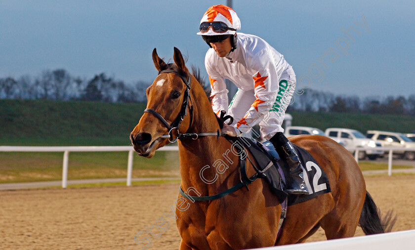 Yukon-Mission-0001 
 YUKON MISSION (Jason Hart)
Chelmsford 19 Nov 2019 - Pic Steven Cargill / Racingfotos.com