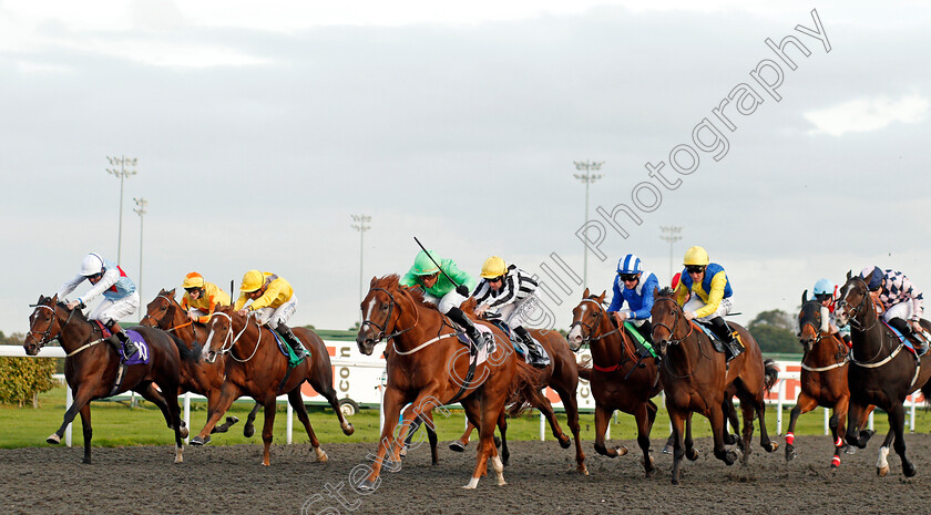 Tuscany-0002 
 TUSCANY (centre, Raul Da Silva) wins The Racing UK Profits Returned To Racing Handicap Kempton 4 Oct 2017 - Pic Steven Cargill / Racingfotos.com