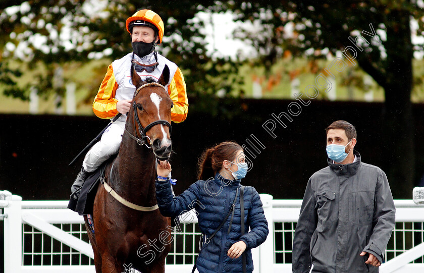 Entwine-0007 
 ENTWINE (Pat Cosgrave) with trainer Jim Boyle after The Watch And Bet At Mansionbet Fillies Novice Median Auction Stakes
Newmarket 21 Oct 2020 - Pic Steven Cargill / Racingfotos.com