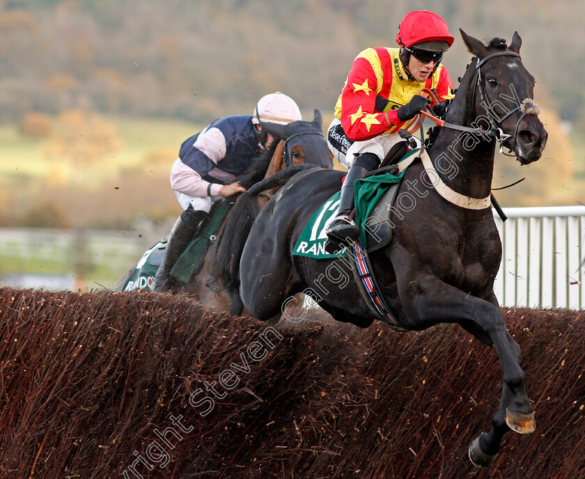 Tanit-River-0001 
 TANIT RIVER (Alan Johns) Cheltenham 28 Oct 2017 - Pic Steven Cargill / Racingfotos.com