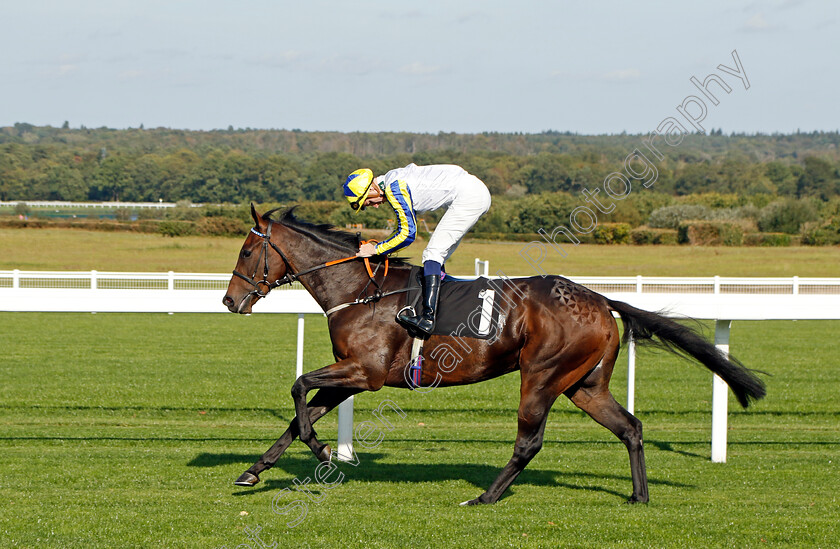 Camarrate-0001 
 CAMARRATE (Hector Crouch)
Ascot 6 Oct 2023 - Pic Steven Cargill / Racingfotos.com