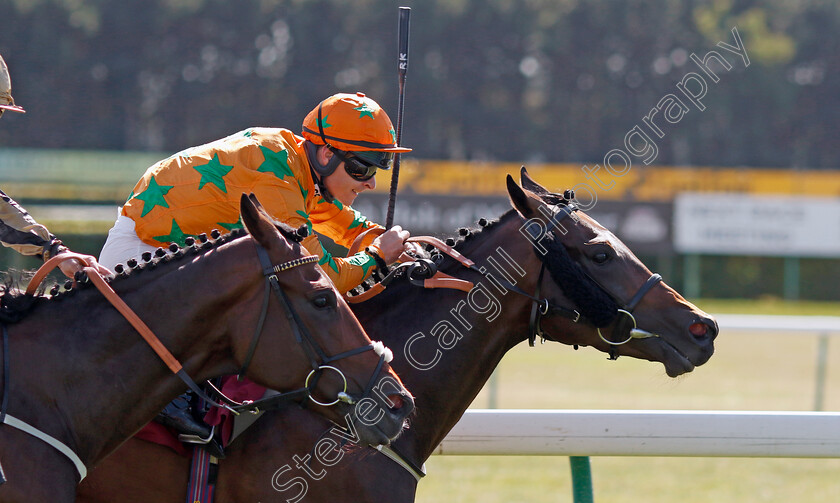 Love-Is-Golden-0001 
 LOVE IS GOLDEN (Richard Kingscote) wins The Common Sense Lending Handicap
Haydock 1 Sep 2022 - Pic Steven Cargill / Racingfotos.com