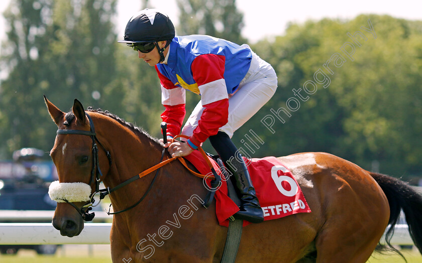 Firstman-0001 
 FIRSTMAN (Patrick Harnett)
Haydock 27 May 2023 - Pic Steven Cargill / Racingfotos.com