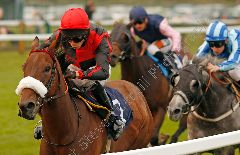 Broughtons-Story-0005 
 BROUGHTONS STORY (Jack Osborn) wins The Haven Seashire Holiday Park Handicap Yarmouth 16 Oct 2017 - Pic Steven Cargill / Racingfotos.com