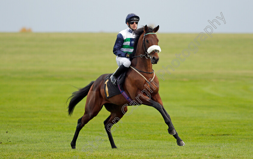 Nuvolari-0002 
 NUVOLARI (Charles Bishop)
Newmarket 29 Oct 2021 - Pic Steven Cargill / Racingfotos.com