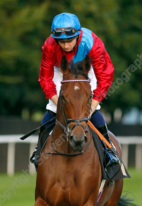 Doom-0001 
 DOOM (Adam Farragher)
Newmarket 4 Aug 2023 - Pic Steven Cargill / Racingfotos.com