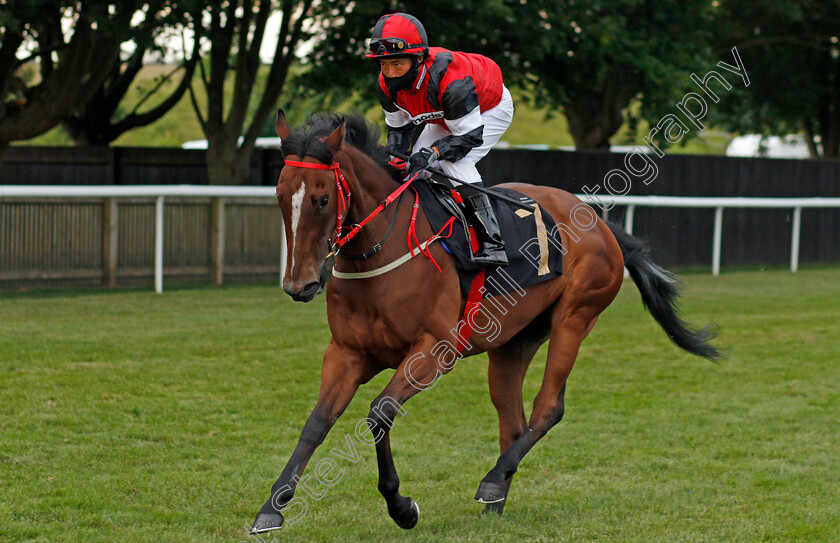 Kalash-Princess-0001 
 KALASH PRINCESS (Howard Cheng)
Newmarket 25 Jun 2021 - Pic Steven Cargill / Racingfotos.com