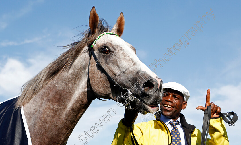 Logician-0026 
 LOGICIAN after The William Hill St Leger
Doncaster 14 Sep 2019 - Pic Steven Cargill / Racingfotos.com