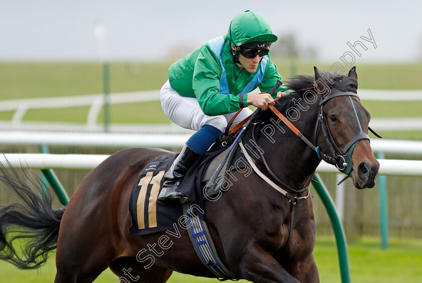 Tempus-Fugit 
 TEMPUS FUGIT (Robert Tart)
Newmarket 29 Oct 2021 - Pic Steven Cargill / Racingfotos.com