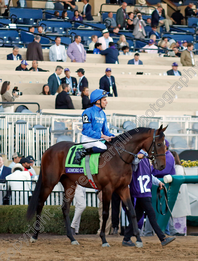 Aomori-City-0001 
 AOMORI CITY (William Buick)
Del Mar 1 Nov 2024 - Pic Steven Cargill / Racingfotos.com