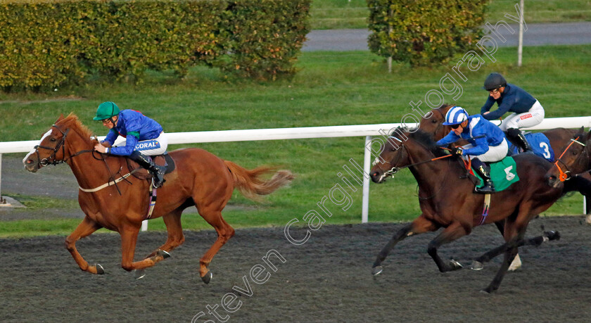 Rockit-Tommy-0003 
 ROCKIT TOMMY (David Probert) wins The Highclere Castle Feeds Handicap
Kempton 2 Oct 2024 - Pic Steven Cargill / Racingfotos.com