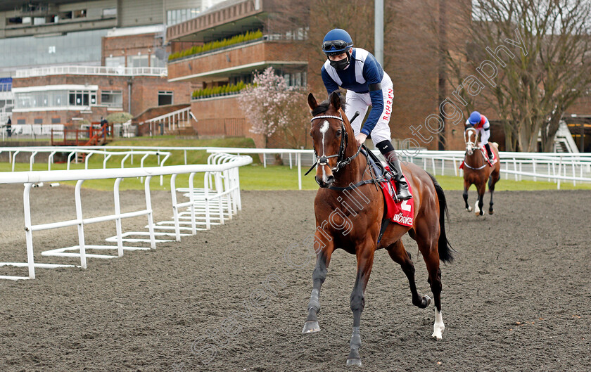 Global-Giant-0001 
 GLOBAL GIANT (Robert Havlin) winner of The Ladbrokes Magnolia Stakes 
Kempton 27 mar 2021 - Pic Steven Cargill / Racingfotos.com