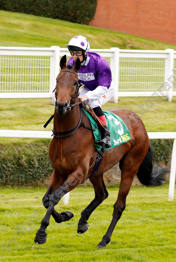 Chookie-Dunedin-0001 
 CHOOKIE DUNEDIN (Connor Beasley) Sandown 27 Apr 2018 - Pic Steven Cargill / Racingfotos.com