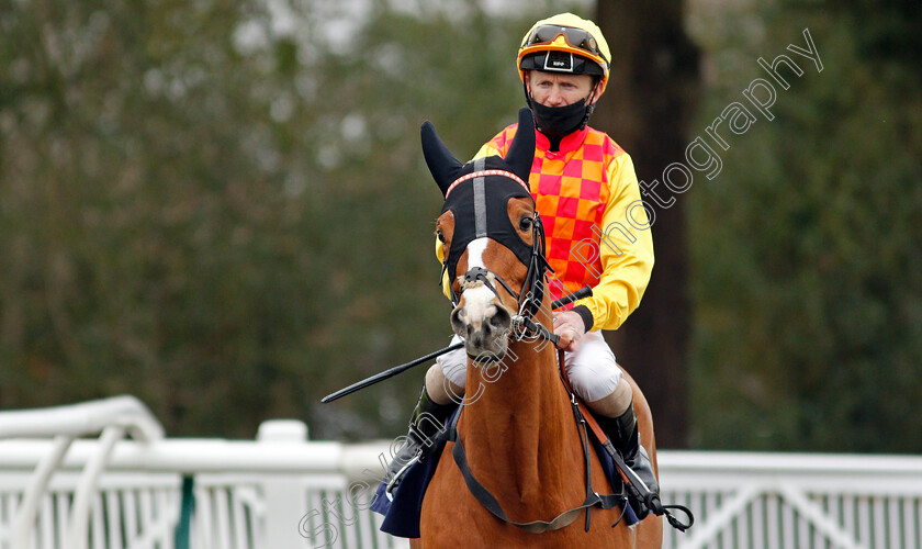 Authora-Dream-0001 
 AUTHORA DREAM (Joe Fanning)
Lingfield 27 Jan 2021 - Pic Steven Cargill / Racingfotos.com