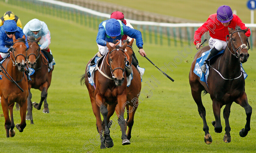 Rose-Of-Kildare-0003 
 ROSE OF KILDARE (centre, Joe Fanning) beats VALERIA MESSALINA (right) in The Godolphin Lifetime Care Oh So Sharp Stakes
Newmarket 11 Oct 2019 - Pic Steven Cargill / Racingfotos.com