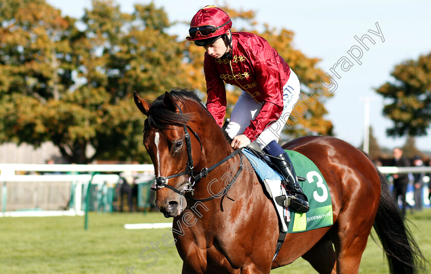 Legends-Of-War-0001 
 LEGENDS OF WAR (Oisin Murphy)
Newmarket 29 Sep 2018 - Pic Steven Cargill / Racingfotos.com