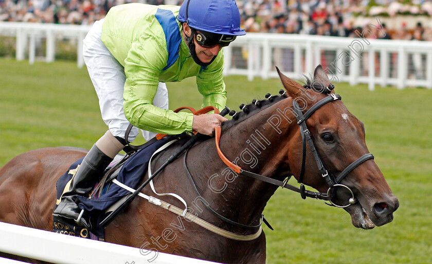 Subjectivist-0008 
 SUBJECTIVIST (Joe Fanning) wins The Gold Cup
Royal Ascot 17 Jun 2021 - Pic Steven Cargill / Racingfotos.com