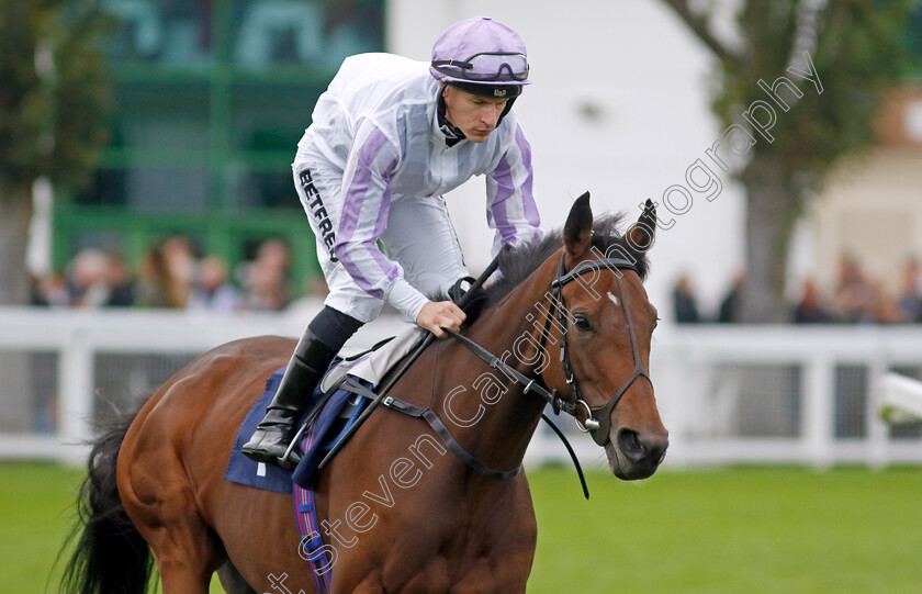 Reel-Rosie-0001 
 REEL ROSIE (Richard Kingscote) 
Yarmouth 20 Sep 2023 - Pic Steven Cargill / Racingfotos.com