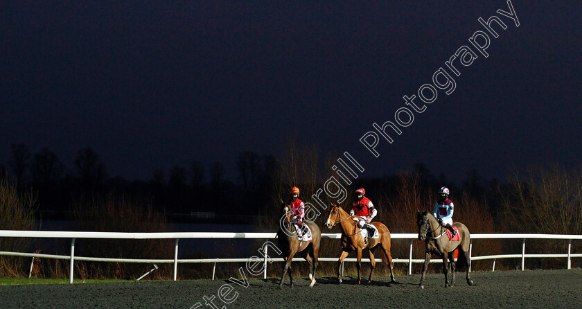 Nortonthorpe-Boy-0002 
 NORTONTHORPE BOY (right, Grace McEntee) before winning The Unibet Extra Place Offers Every Day Handicap
Kempton 13 Jan 2021 - Pic Steven Cargill / Racingfotos.com