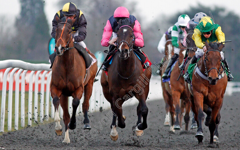 Kingstom-Kurrajong-0005 
 KINGSTON KURRAJONG (centre, Martin Harley) beats BALTIC PRINCE (right) and LUNAR DEITY (left) in The Matchbook Betting Exchange Handicap Kempton 21 Mar 2018 - Pic Steven Cargill / Racingfotos.com