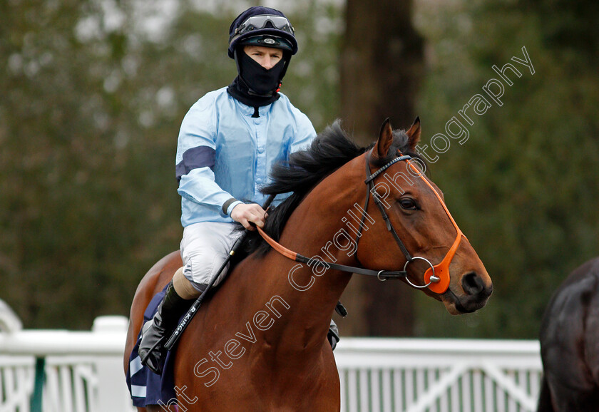 Host-0001 
 HOST (Richard Kingscote)
Lingfield 27 Jan 2021 - Pic Steven Cargill / Racingfotos.com