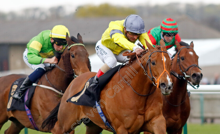 Spring-Bloom-0002 
 SPRING BLOOM (Andrea Atzeni)
Newmarket 18 Apr 2023 - Pic Steven Cargill / Racingfotos.com