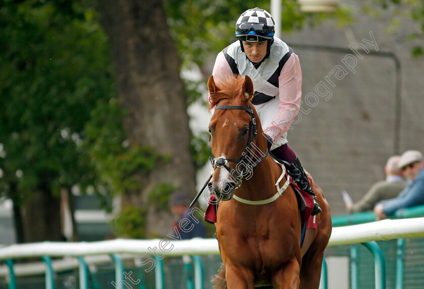 Beauty-Inspire-0002 
 BEAUTY INSPIRE (Mark Enright)
Haydock 21 May 2022 - Pic Steven Cargill / Racingfotos.com